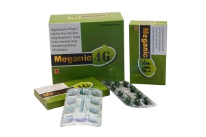 MEGANIC - 4G